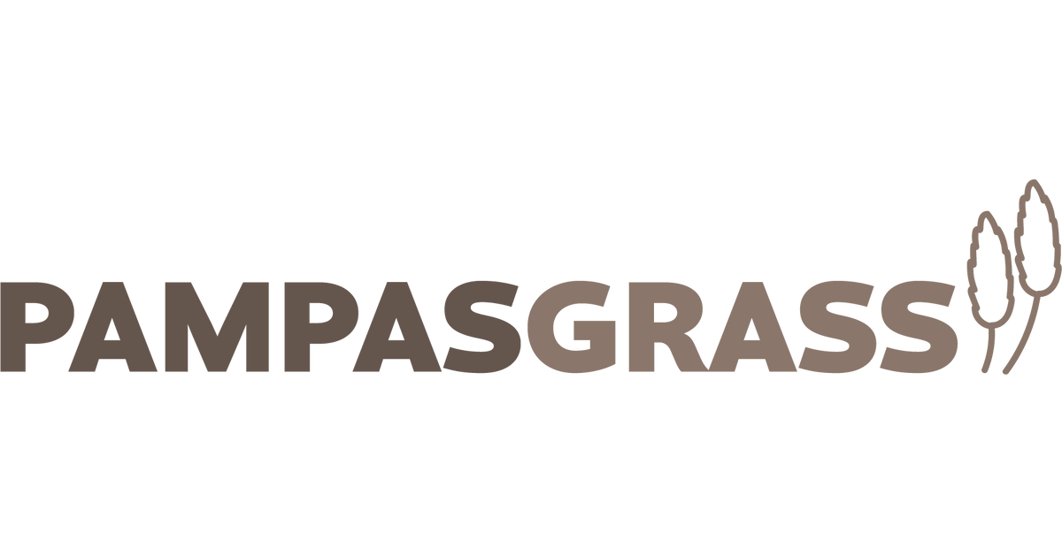 Pampas Grass Shop Our Range of Faux Pampas Grass Decor!