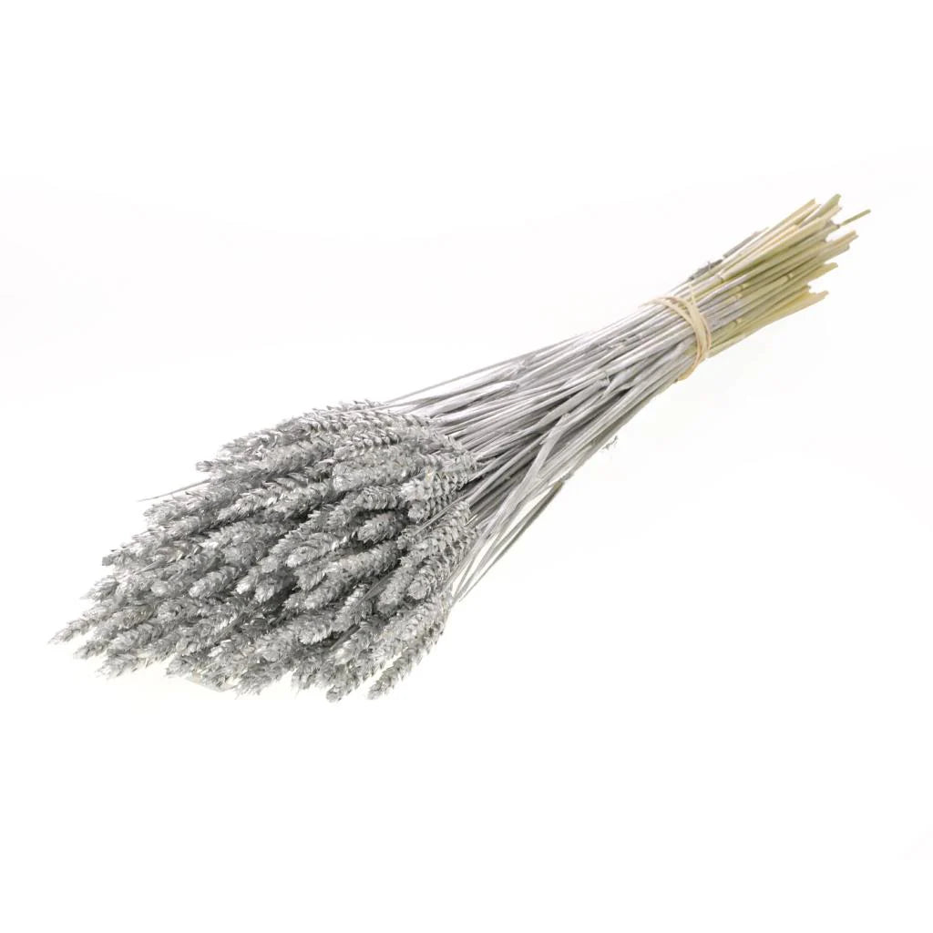 Dried Grey Wheat