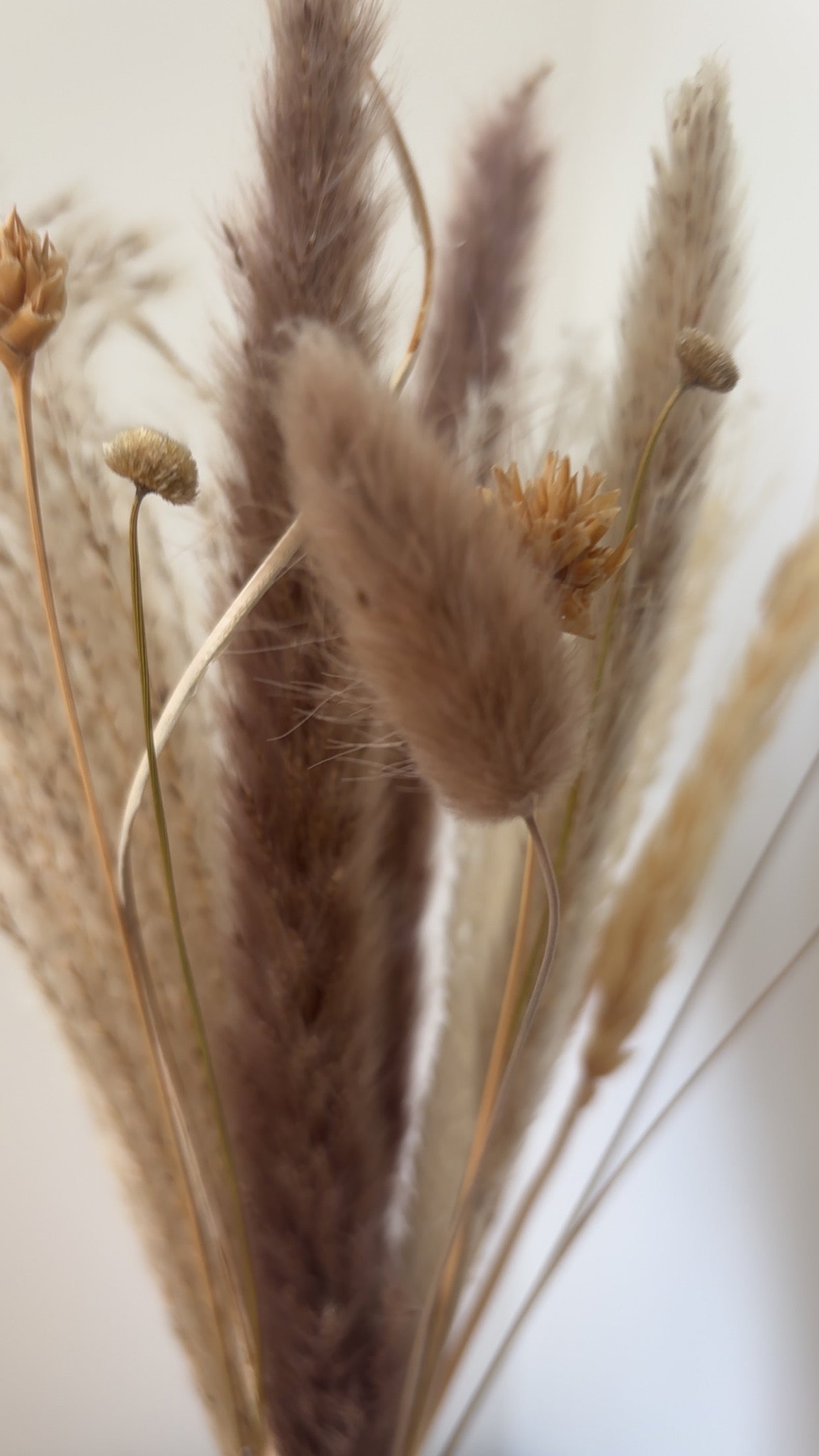 Autumn Dried Flower Gift Box
