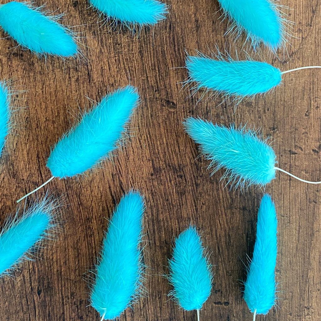 Summer Blue Bunny Tail Buds