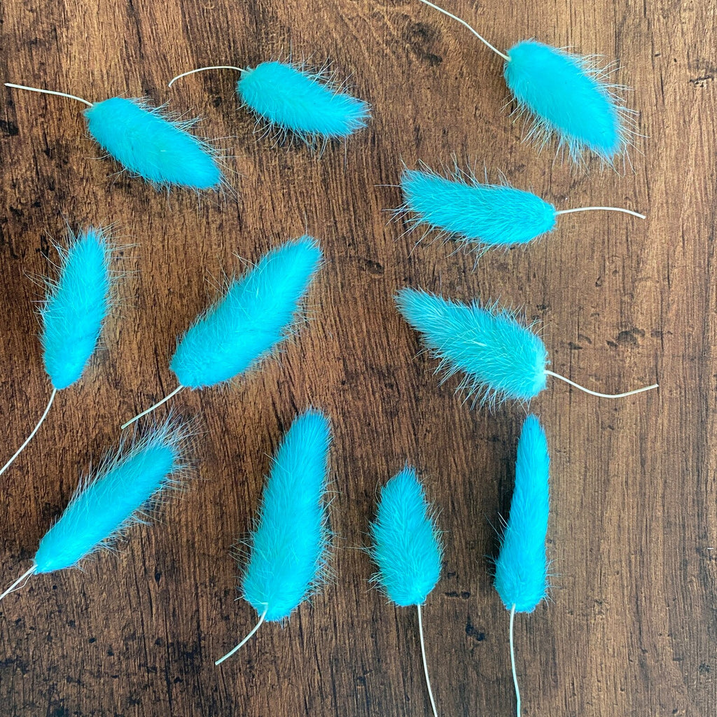 Summer Blue Bunny Tail Buds