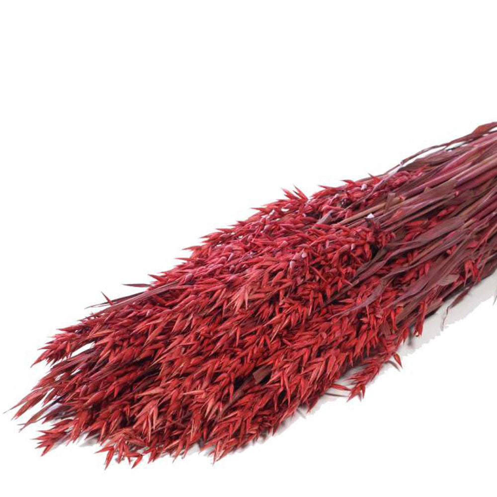 Dried Red Oats