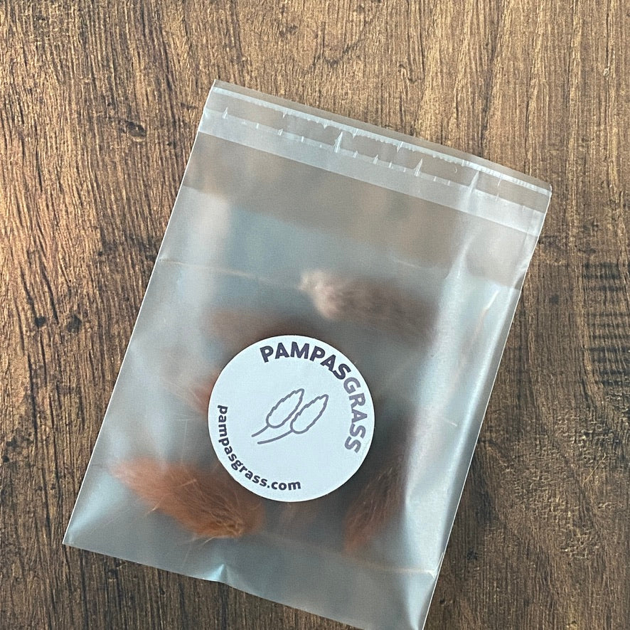 Chocolate Brown Bunny Tail Buds