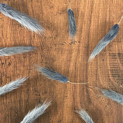 Grey Bunny Tail Buds