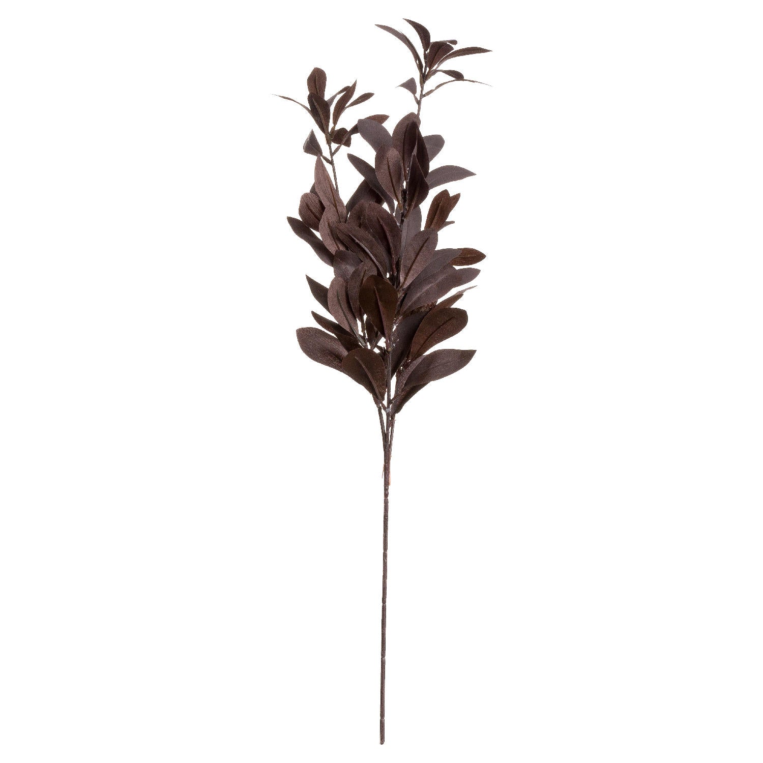 Autumn Eucalyptus Spray