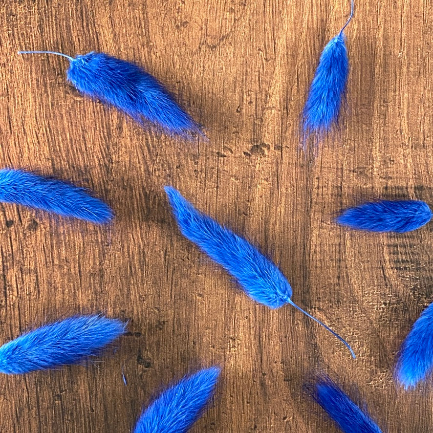 Royal Blue Bunny Tail Buds