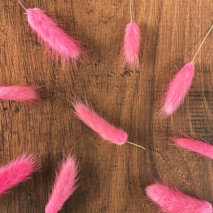 Rosy Pink Bunny Tail Buds