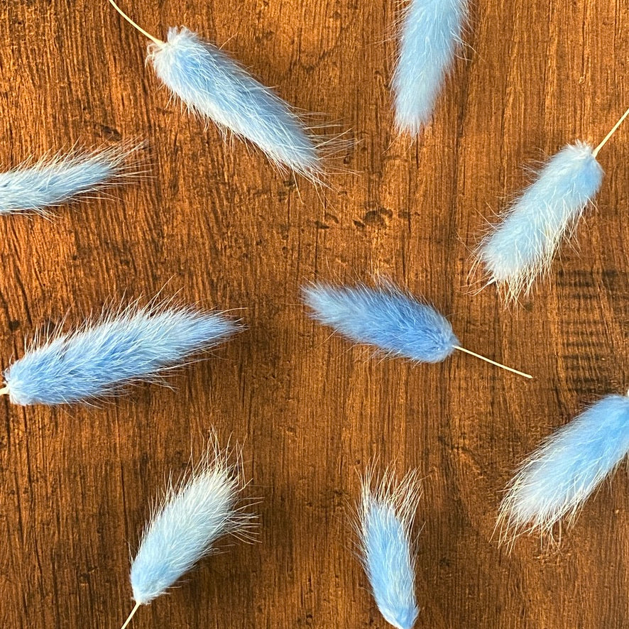 Cornflour Blue Bunny Tail Buds
