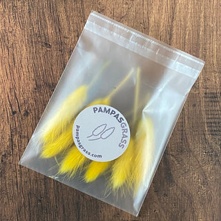 Ochre Yellow Bunny Tail Buds