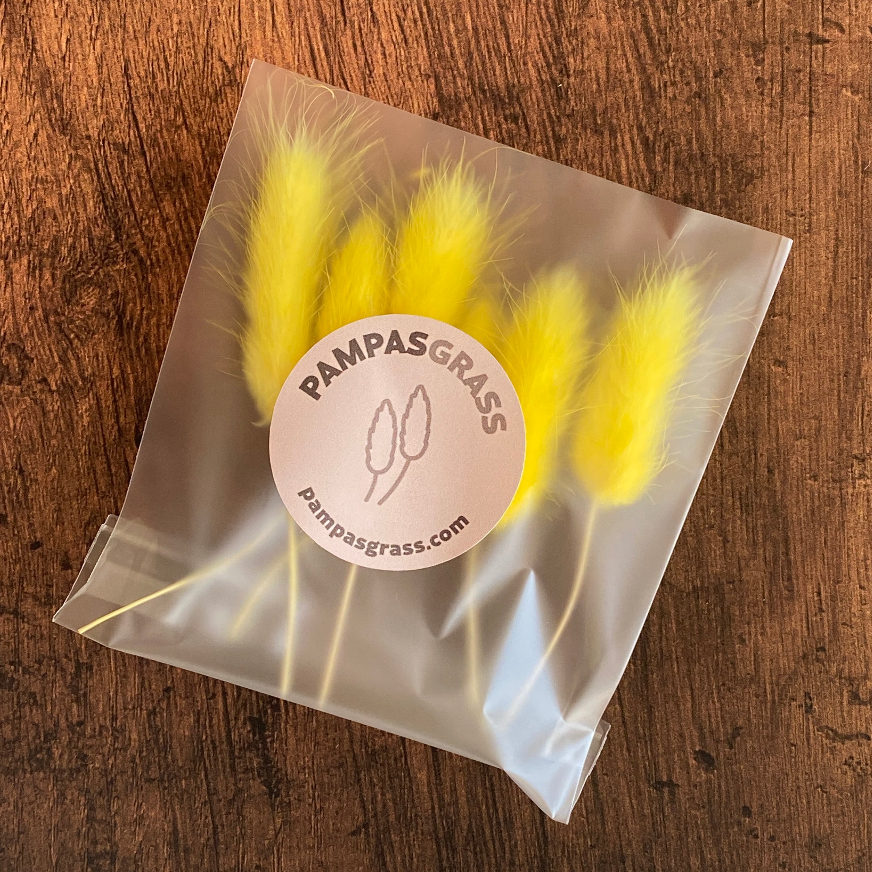 Summer Yellow Bunny Tail Buds