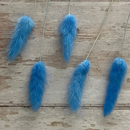 Cornflour Blue Bunny Tails