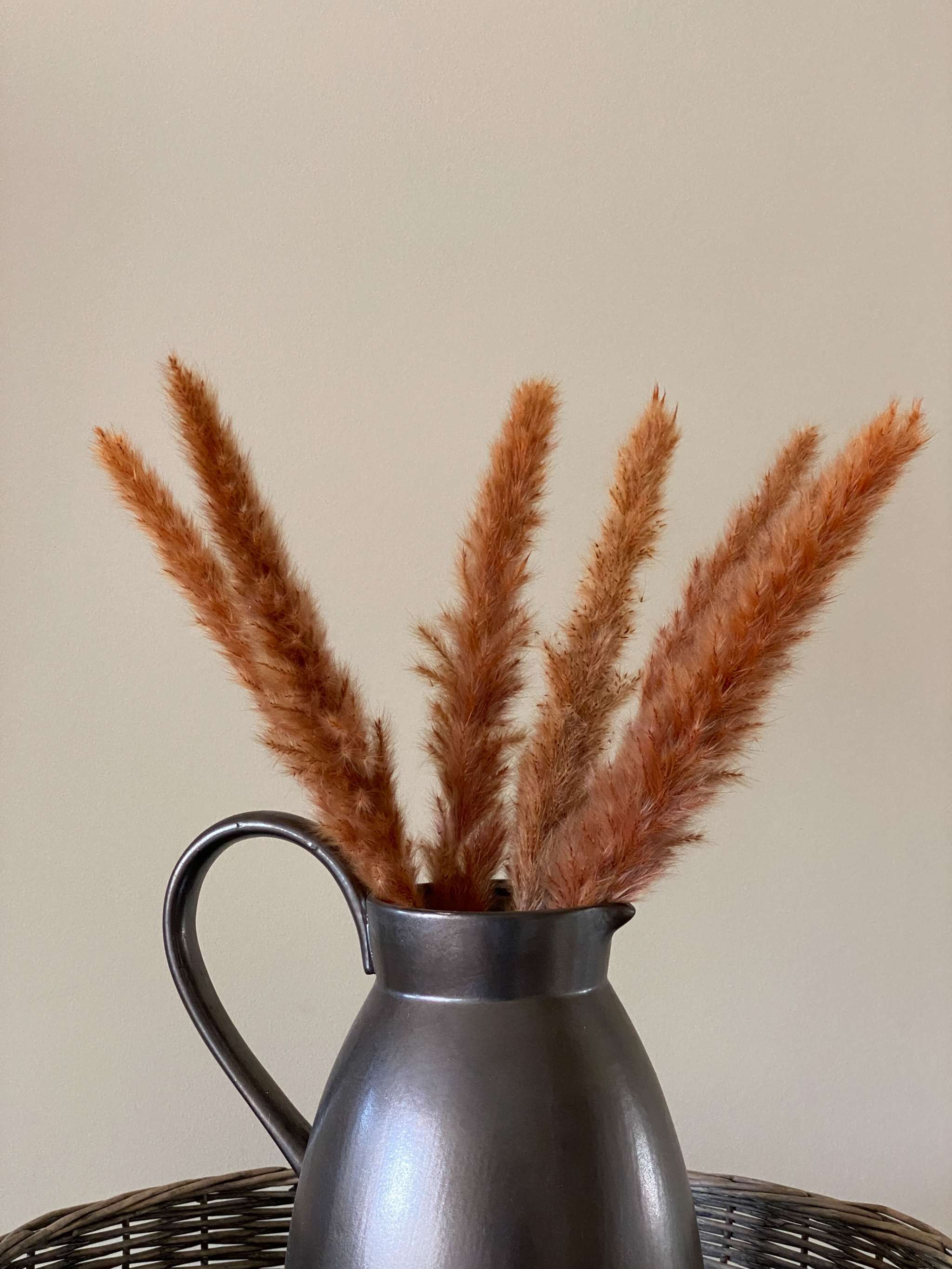 Coffee Small Pampas