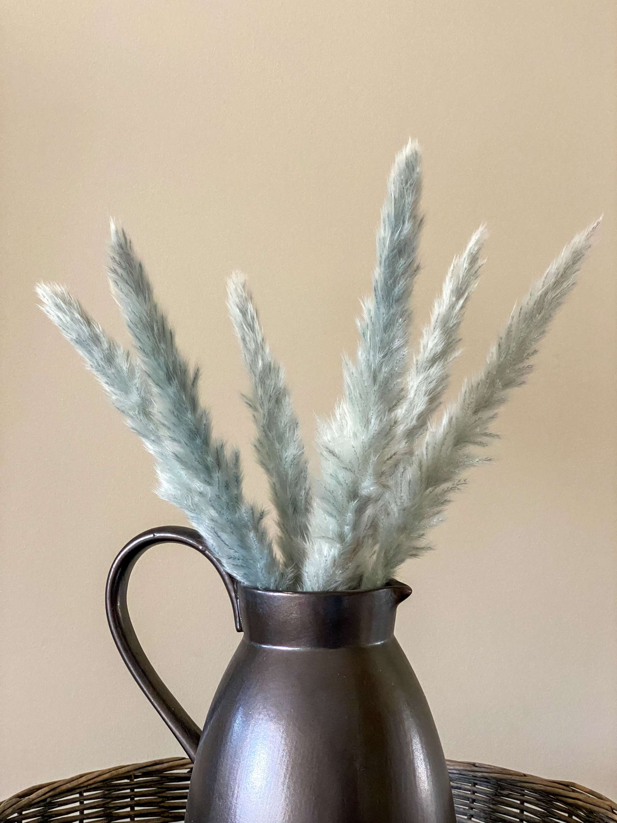 Cool Grey Small Pampas