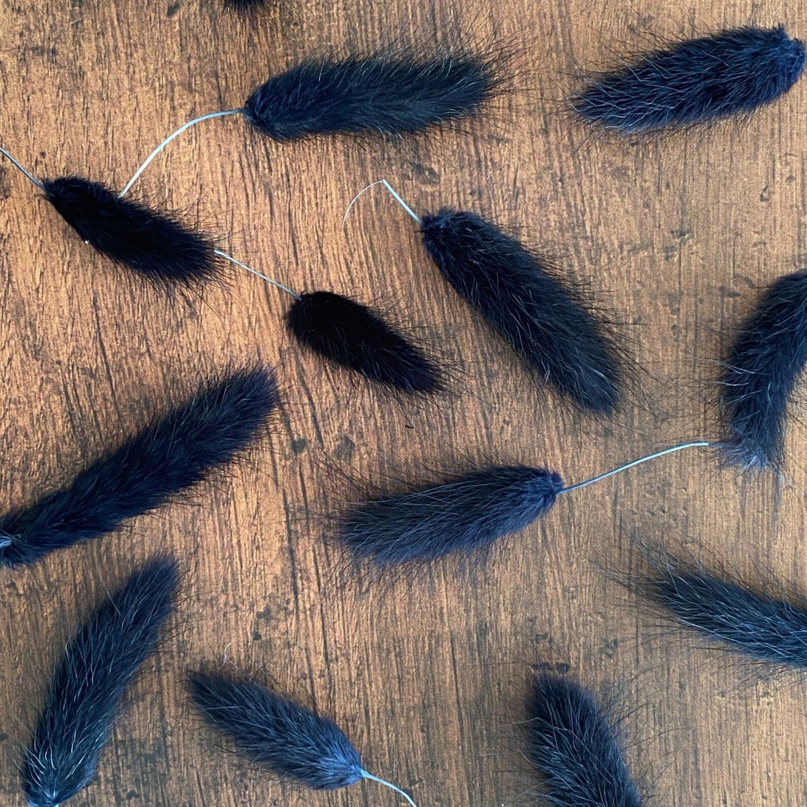 Midnight Blue Bunny Tail Buds