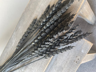 Black Wheat Bunch