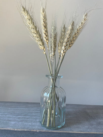 Dried Wheat with Vase