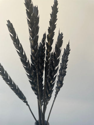 Black Wheat Bunch
