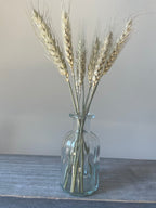 Dried Green Bearded Wheat