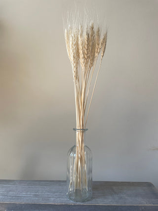 Dried Bleached Wheat Bunch