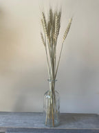 Dried Green Bearded Wheat