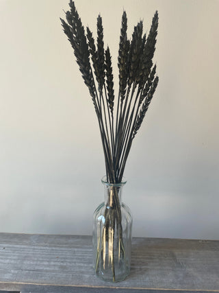Black Wheat Bunch